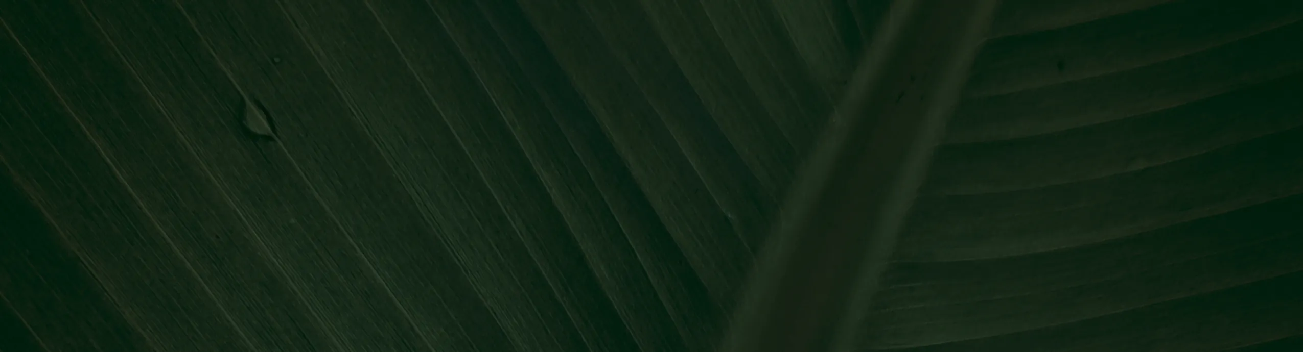 Reserva Campus Atlético de Madrid Murcia 2025